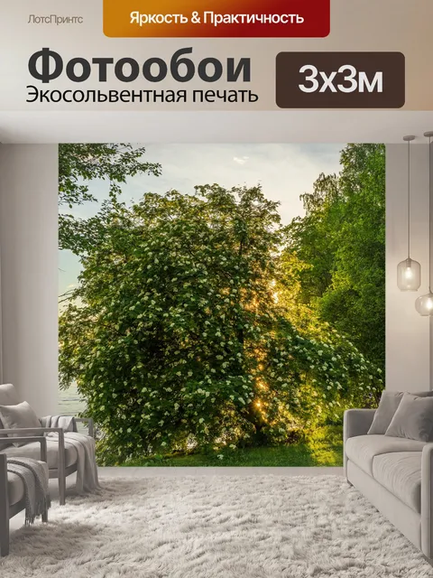 Фотообои Рябина