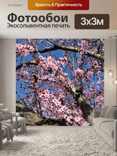 Фотообои Японская сакура
