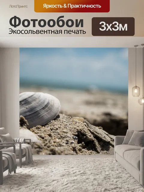 Фотообои Морская ракушка