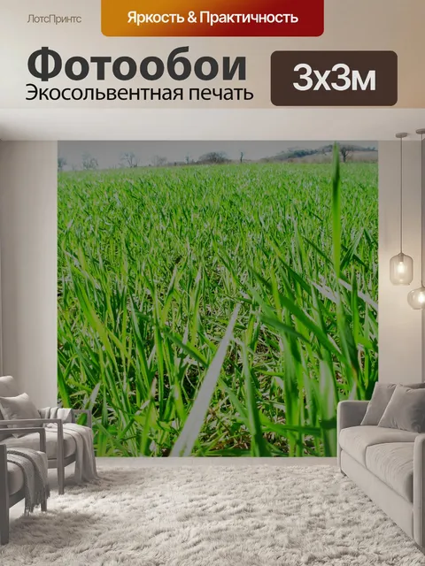 Фотообои Пшеничное поле