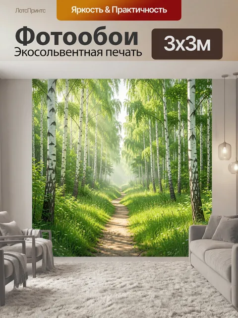 Фотообои Берёзовая аллея в солнечном лесу
