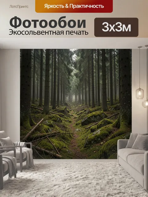 Фотообои Таинственный хвойный лес
