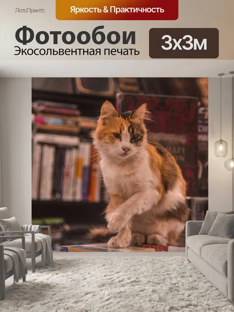 Фотообои Кот
