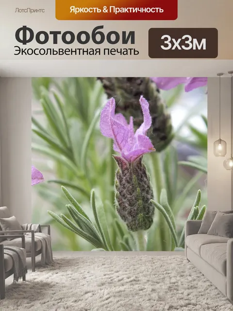 Фотообои Цветок