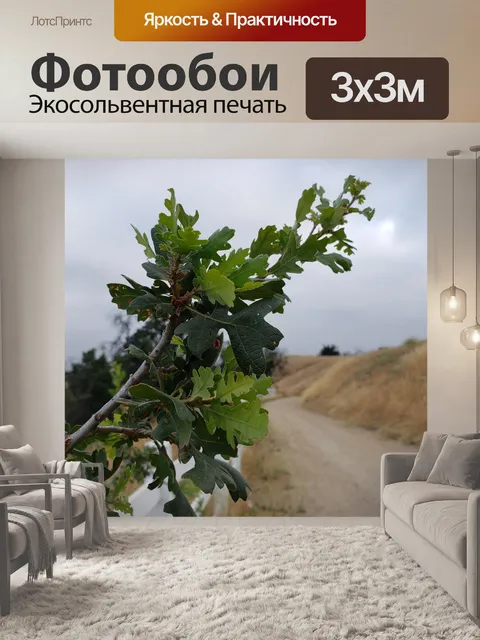 Фотообои Дубовая ветвь