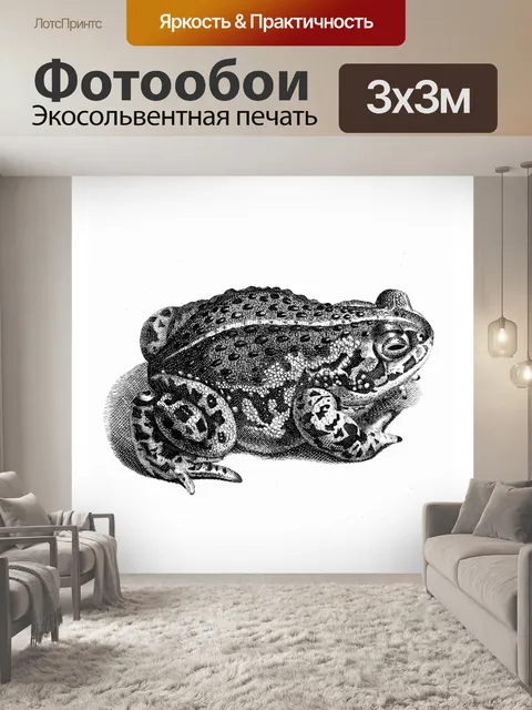 Фотообои Винтажная иллюстрация жаба-лягушка