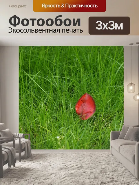 Фотообои Красный лист
