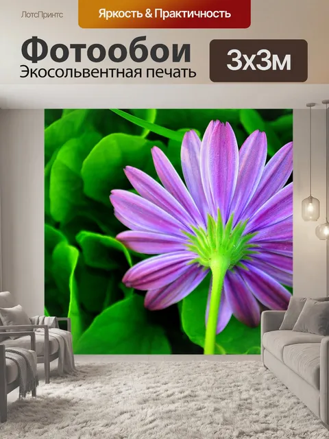 Фотообои Зеленый и розовый