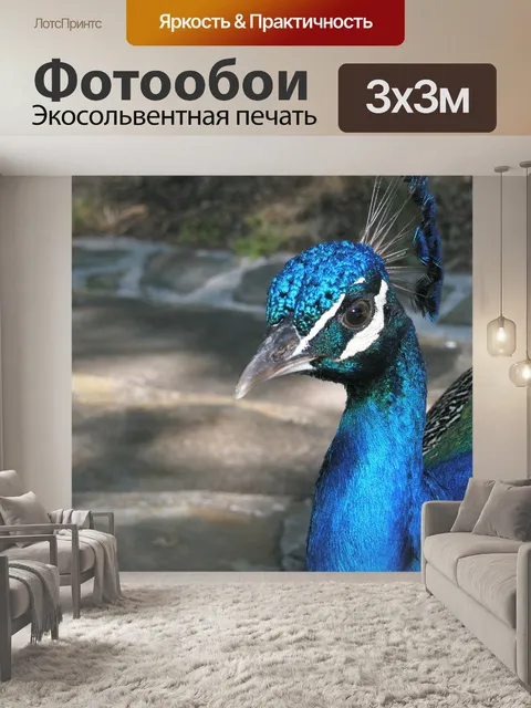 Фотообои Турция