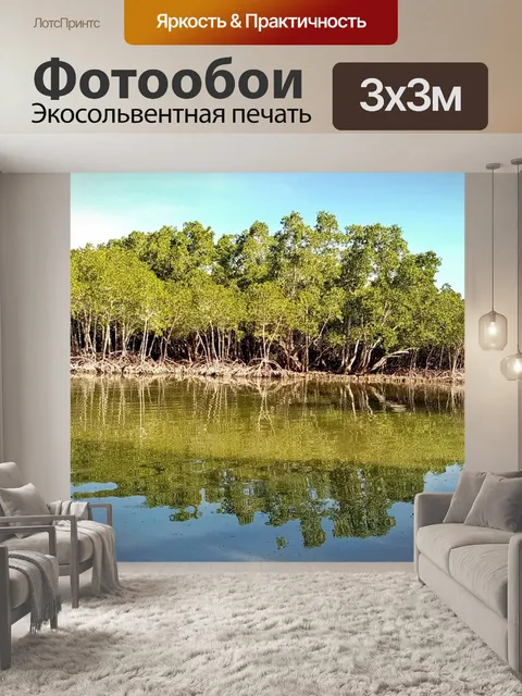 Фотообои Мангровые заросли