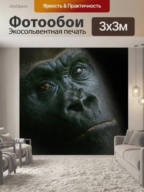 Фотообои Горилла