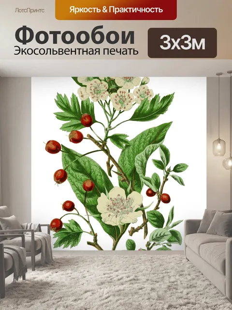 Фотообои Полевые цветы Винтаж ботаническое искусс