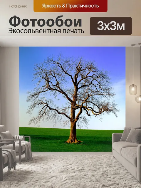 Фотообои Дерево