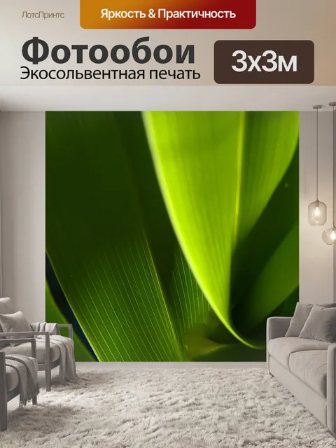 Фотообои Лист
