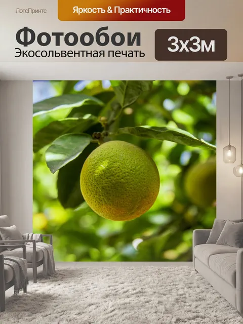 Фотообои Лайм
