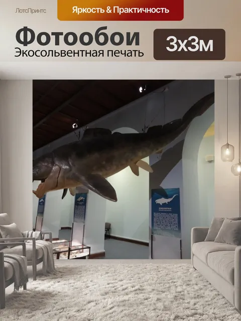 Фотообои Рыба