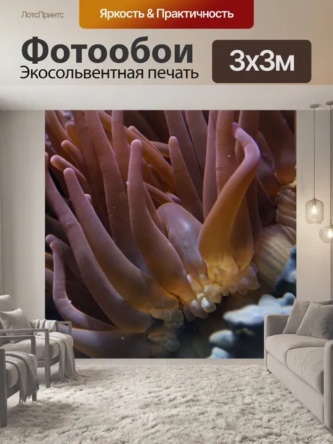 Фотообои Коралл