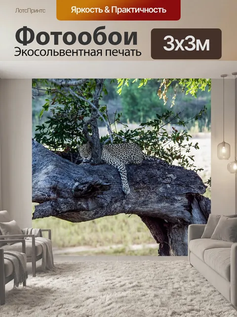 Фотообои Леопард