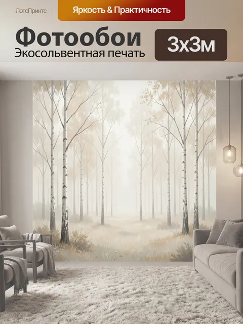 Фотообои Туманный березовый лес