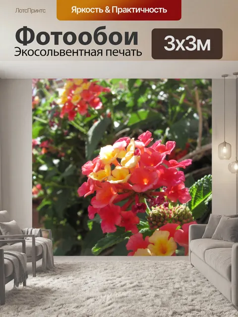 Фотообои Красные цветы