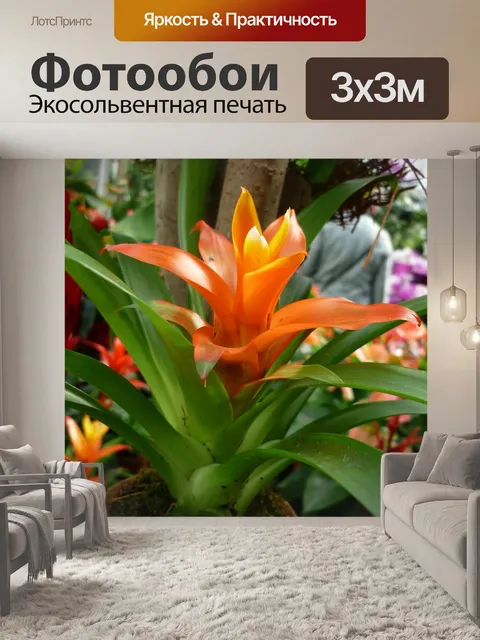 Фотообои Бромелию