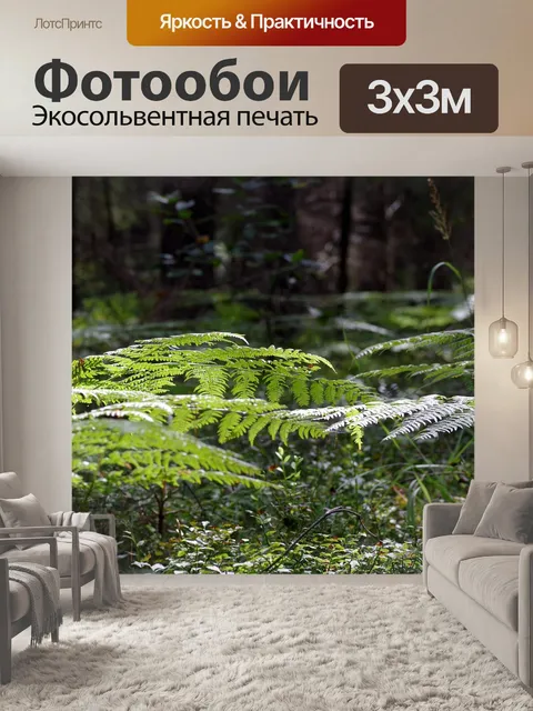 Фотообои Папоротник
