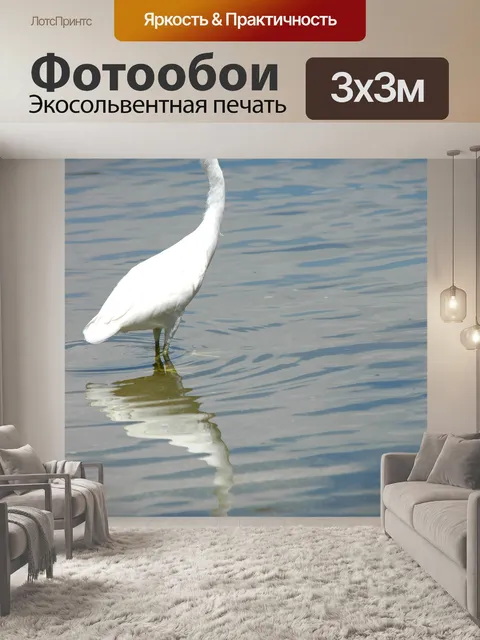 Фотообои Белая цапля