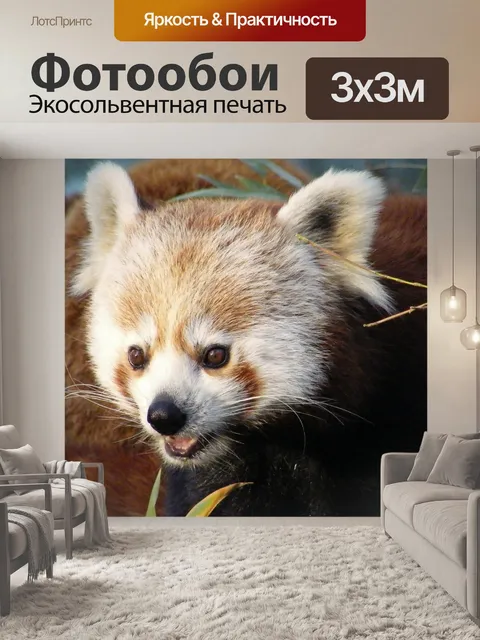 Фотообои Панда