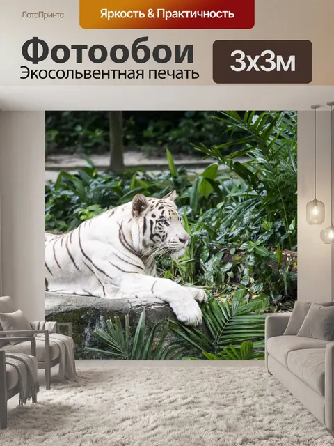 Фотообои белый тигр