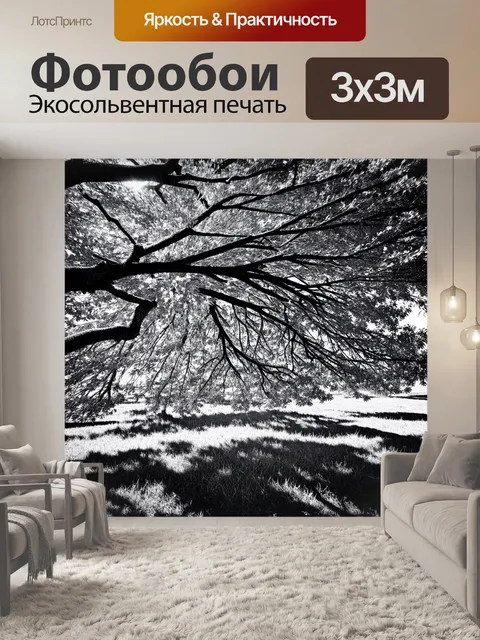Фотообои черно-белый с резными ветками дерева, создающими замысловатый узор против яркого солнца