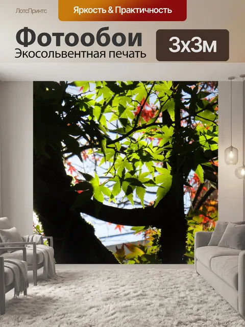 Фотообои Лист
