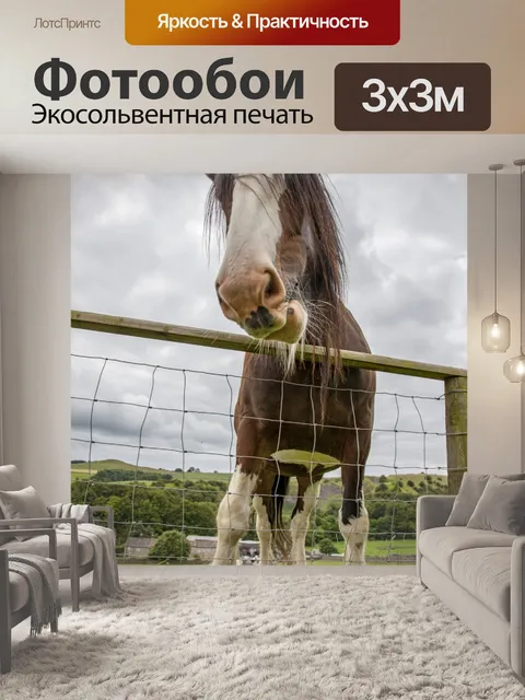 Фотообои Домашняя лошадь