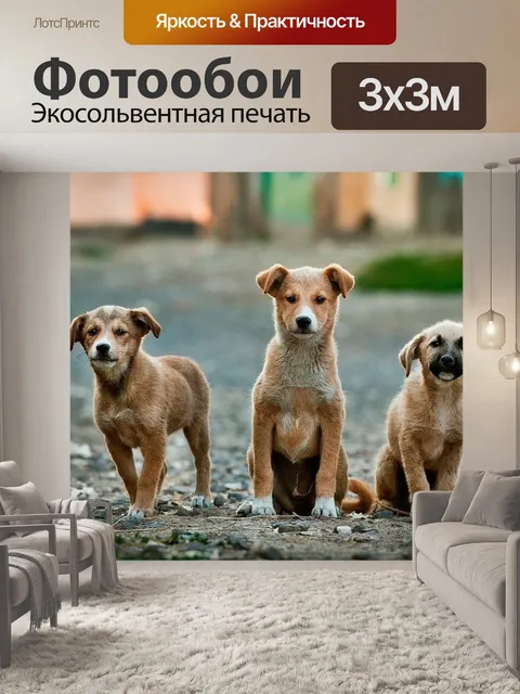 Фотообои Собаки