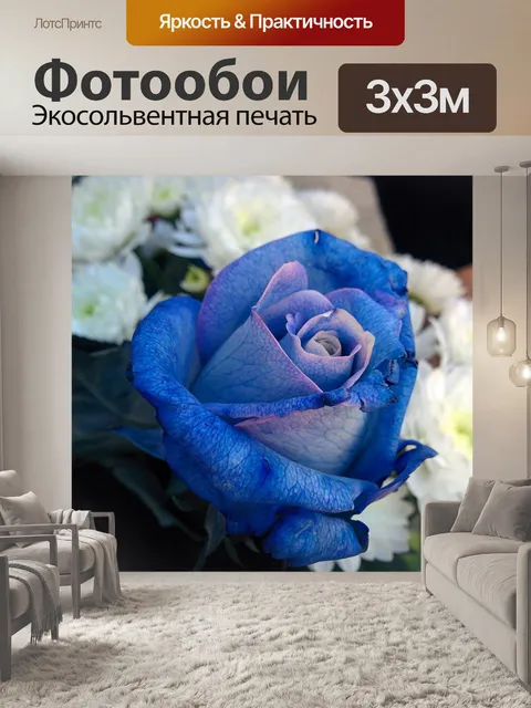 Фотообои Голубая роза