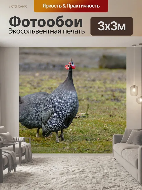 Фотообои Птицы
