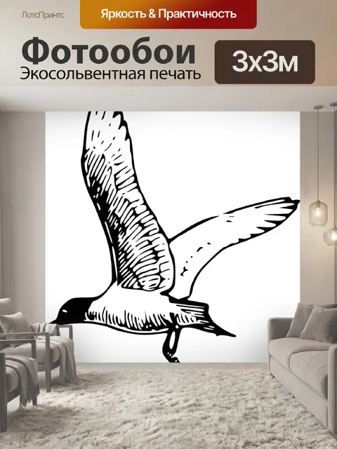 Фотообои Чайка