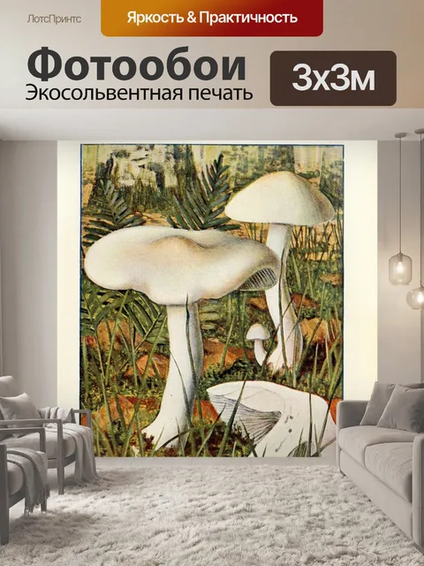 Фотообои Грибы век винтаж старый