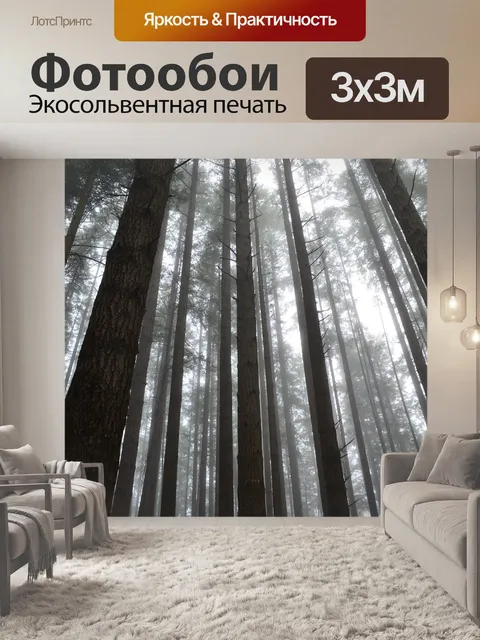 Фотообои Лес