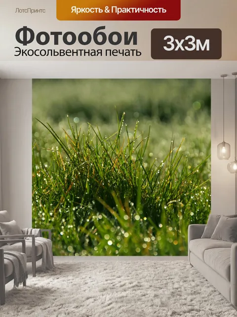 Фотообои Фотография травы луга