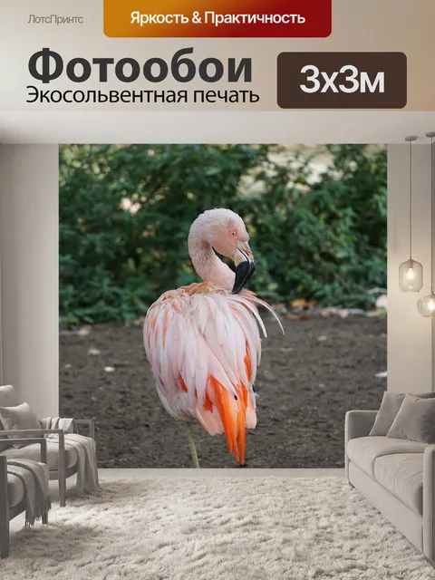 Фотообои Фламинго