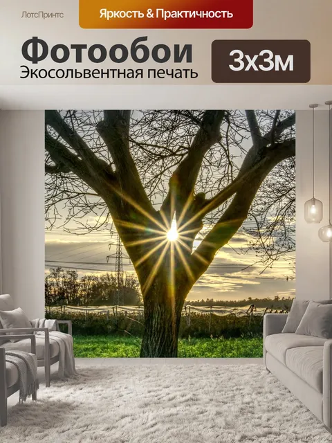 Фотообои Дерево