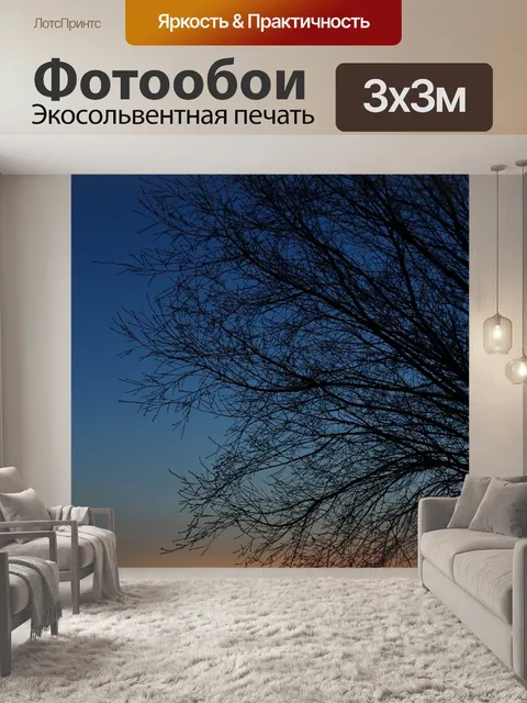 Фотообои Заход солнца