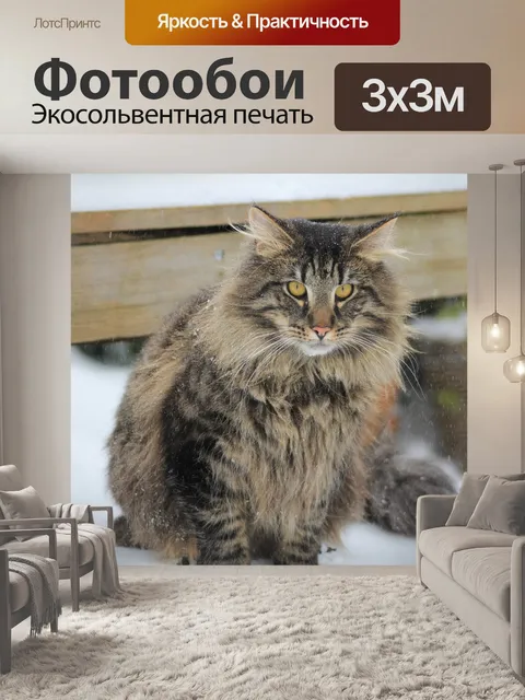 Фотообои Кошка