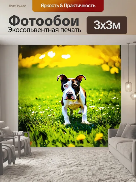 Фотообои американский стаффордширский терьер играет в ярком весеннем парке