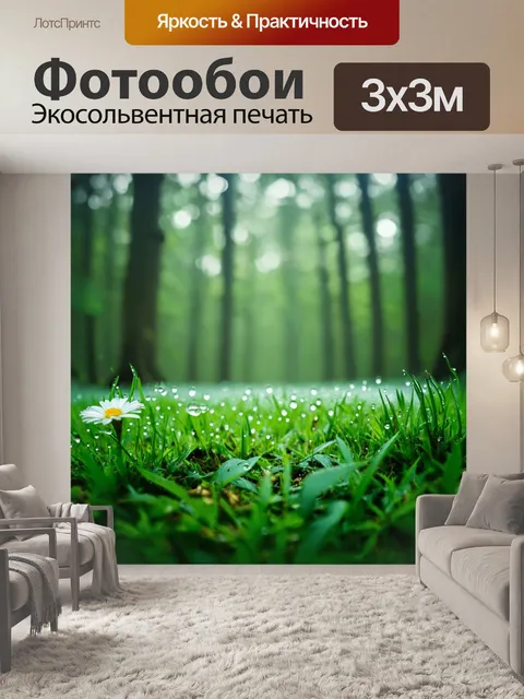 Фотообои сырое утро в лесу с каплями росы на траве и цветах