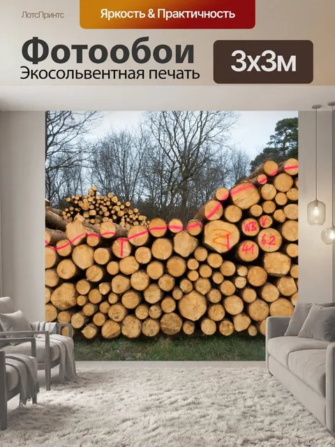 Фотообои Древесина