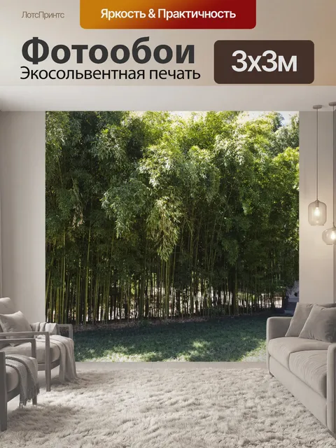 Фотообои Стенд зеленых деревьев