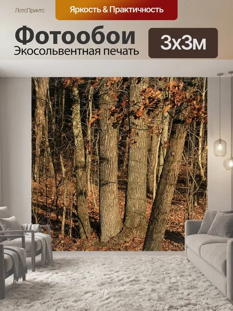 Фотообои Чаща