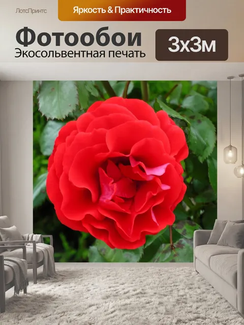 Фотообои Красный Яркий Роуз