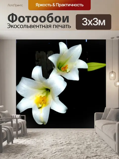 Фотообои Цветок